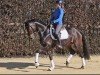 dressage horse Juicy Beat D (Oldenburg, 2018, from For Romance II)