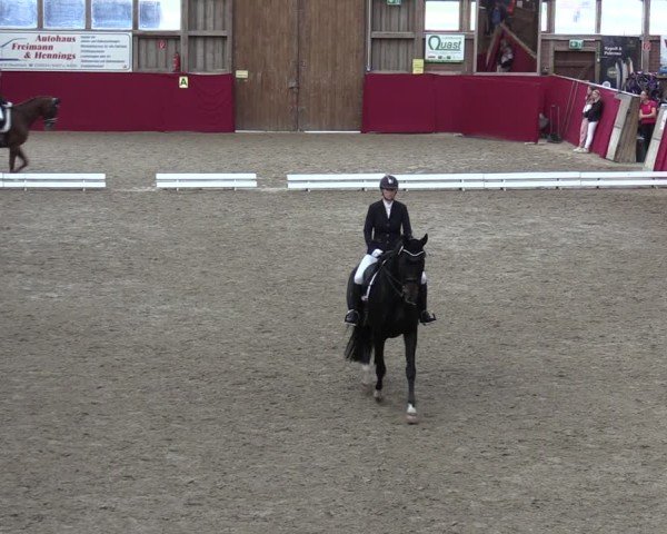 Reitturnier Krumke 2024