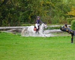 dressage horse Full Moon H (Trakehner, 2019, from Best Before Midnight)