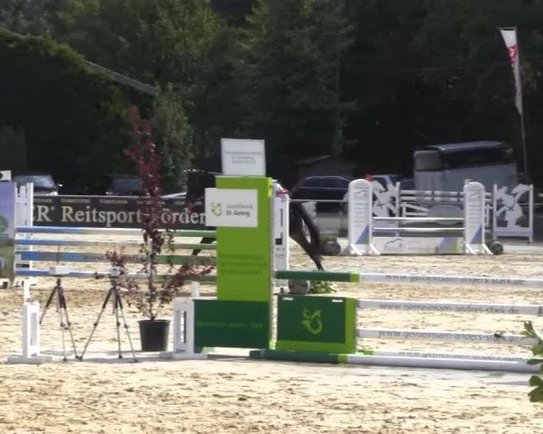 Vinnummer Reitertage 2013
