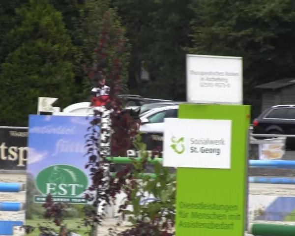 Vinnummer Reitertage 2013