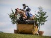 jumper Heritage Stellor Laccato (Irish Sport Horse, 2016)