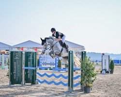 jumper Curl Girl Pj (Hanoverian, 2019, from Colman)