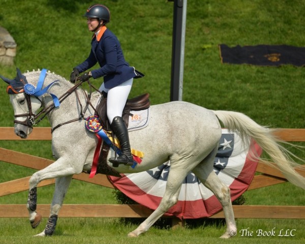 Springpferd Crack The Shadows (Westfale, 2006, von Cornet Obolensky)