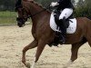 dressage horse Jokers Goldmarie (German Riding Pony, 2020, from Jockers Golden Boy)