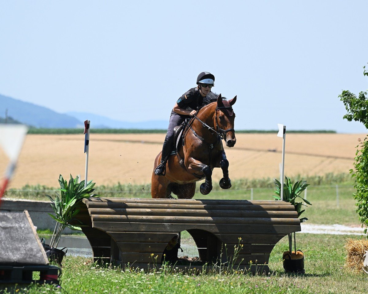 dressage horse Bernina Sh (Hanoverian, 2018, from Belissimo NRW)