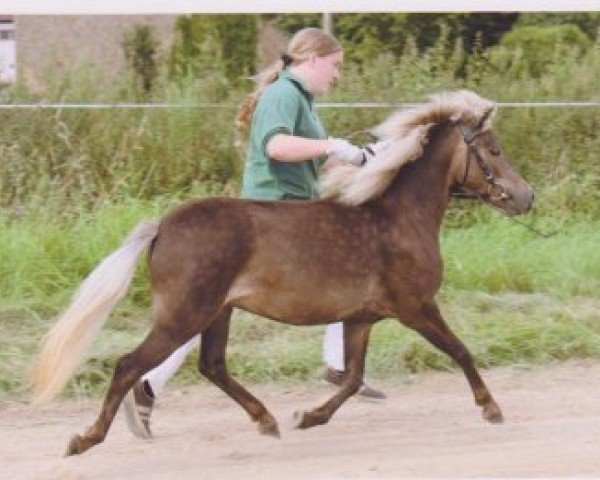 Zuchtstute Bibiana (Deutsches Classic Pony, 2009, von Jolly Jumper vom Talhof)