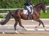 dressage horse Dark Ruby N (Hanoverian, 2020, from De Niro Gold 3)