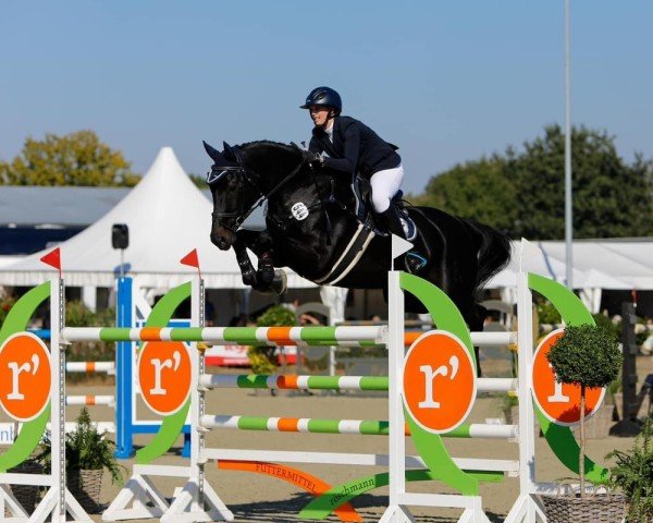 jumper Elvira Madigan (Hanoverian, 2016, from Capistrano 2)