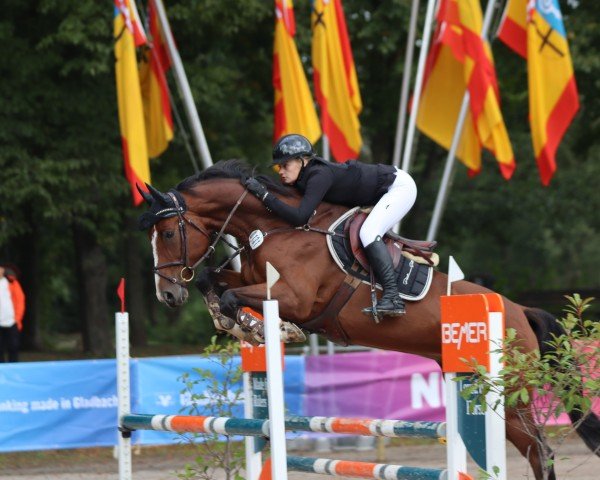 jumper Chill Out 10 (Oldenburg show jumper, 2017, from Chacco's Son II)