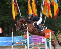 jumper Chill Out 10 (Oldenburg show jumper, 2017, from Chacco's Son II)