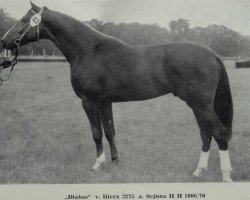 stallion Diabas I 1327 (Mecklenburg, 1971, from Direx 3257)