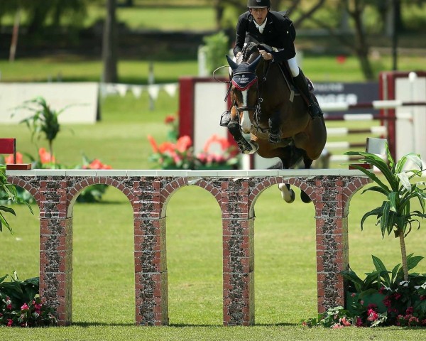 jumper My Floris (KWPN (Royal Dutch Sporthorse), 2006, from Memphis)