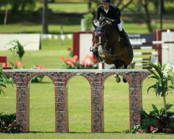 jumper My Floris (KWPN (Royal Dutch Sporthorse), 2006, from Memphis)