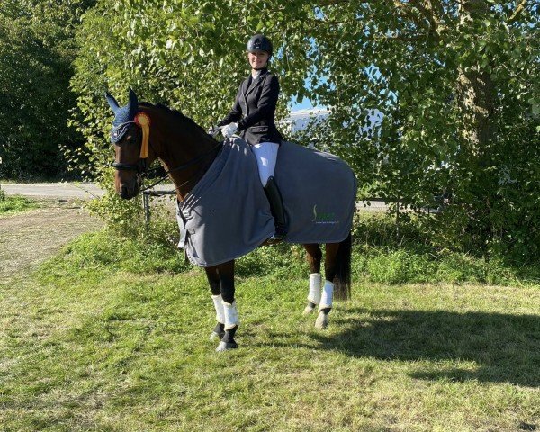 dressage horse Be Happy (Rhinelander, 2010, from Belissimo NRW)