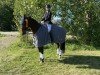 dressage horse Be Happy (Rhinelander, 2010, from Belissimo NRW)