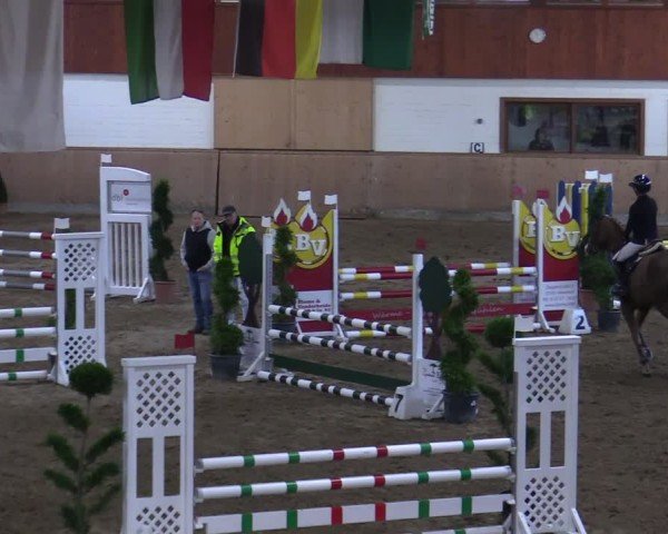 Reitturnier Hövelhof 2024