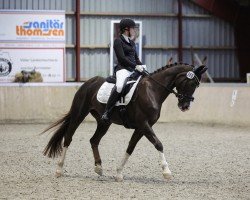 dressage horse Florenciana G (Westphalian, 2010, from Fürst Piccolo)