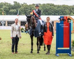 jumper Whitney M 6 (Oldenburg show jumper, 2016, from Kannan)