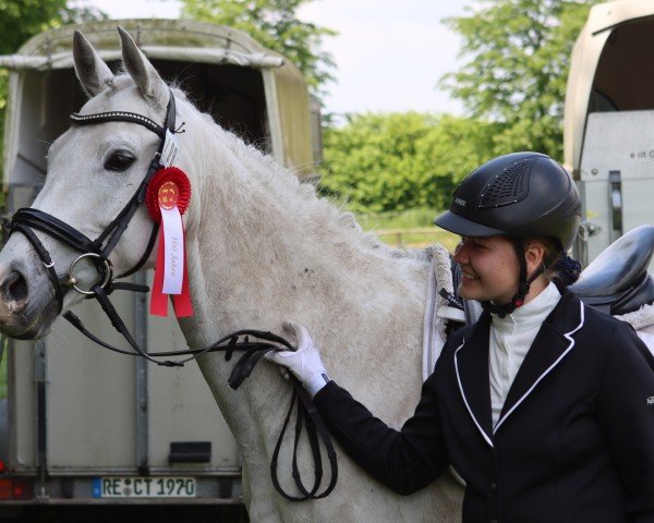 dressage horse Racing Strips (unknown, 2012)