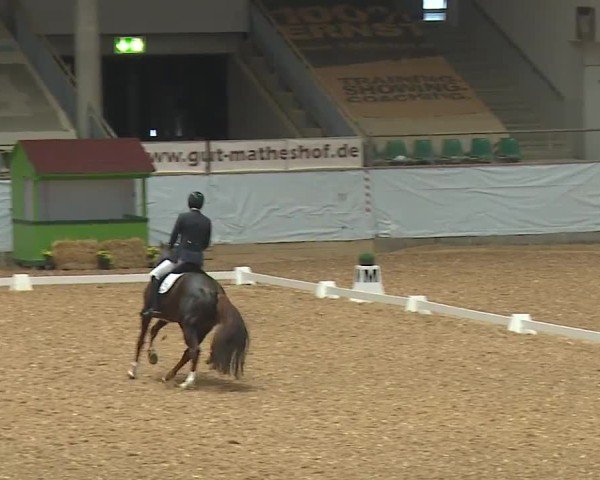 Reitturnier Kreuth/Opf. 2024