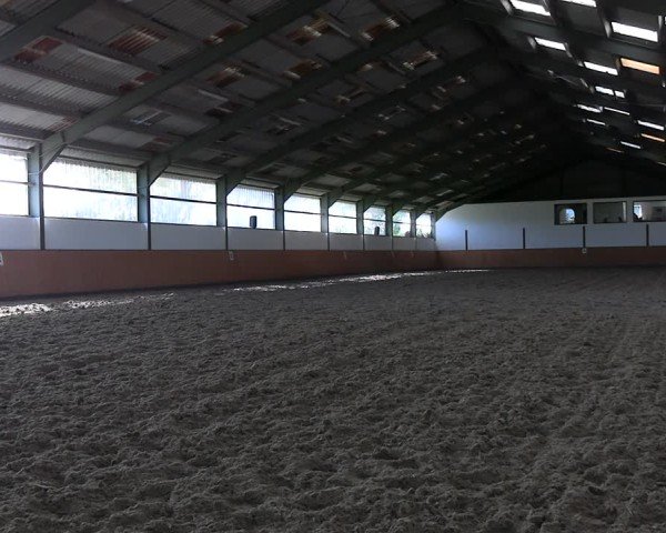 Reitturnier Frechen-Bachem 2024