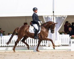 dressage horse La Memoria (Hanoverian, 2019, from La Vie)