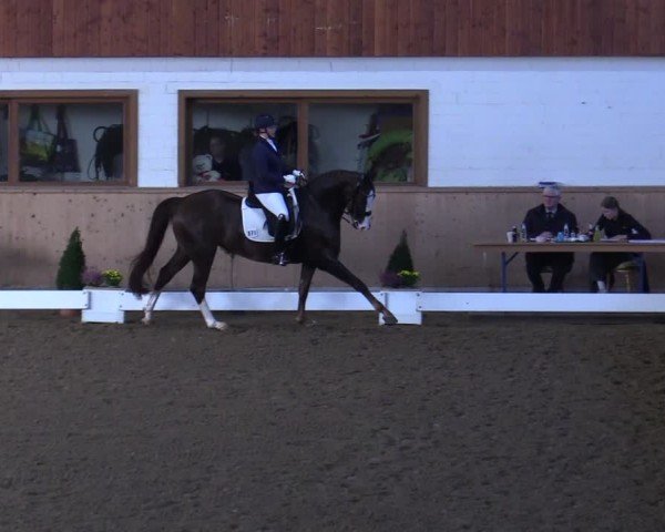 Reitturnier Hövelhof 2024