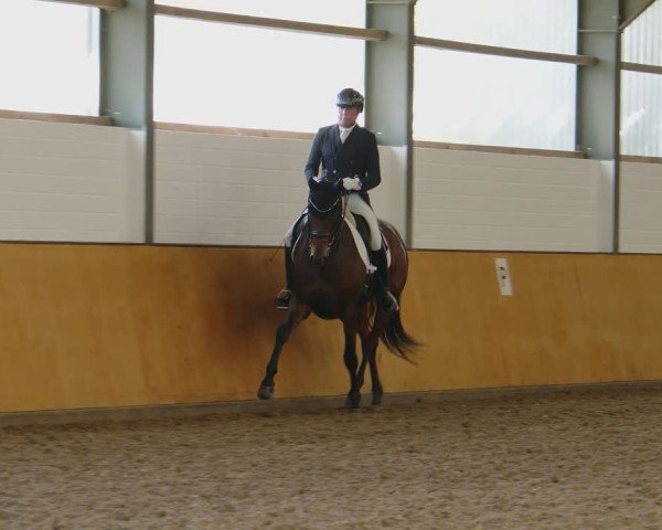 Reitturnier Frechen-Bachem 2024