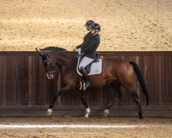 dressage horse Secret Whisper (Hanoverian, 2019, from Secret)