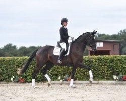 broodmare Belenia (German Sport Horse, 2017, from Bon Coeur)