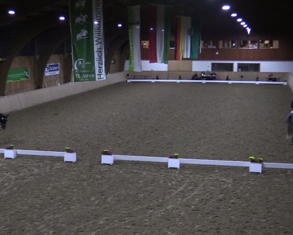 Reitturnier Hövelhof 2024