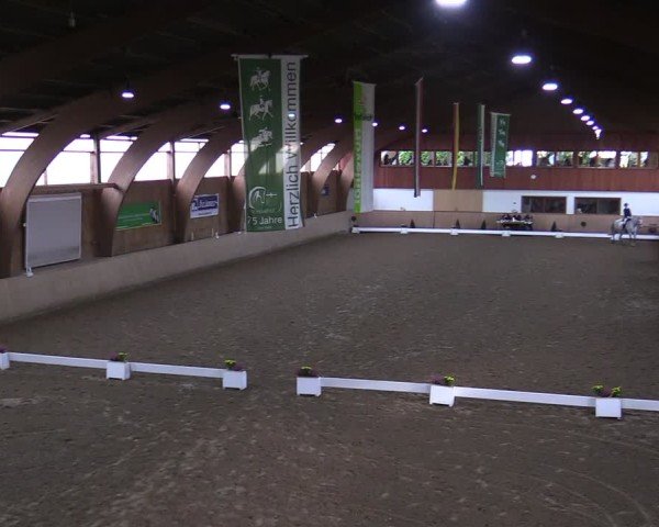 Reitturnier Hövelhof 2024