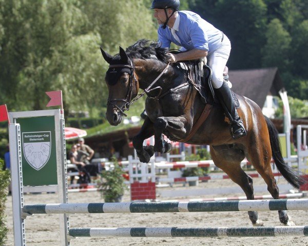 jumper Charice PJ (Hanoverian, 2016, from Carridam)