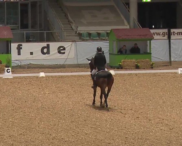 Reitturnier Kreuth/Opf. 2024