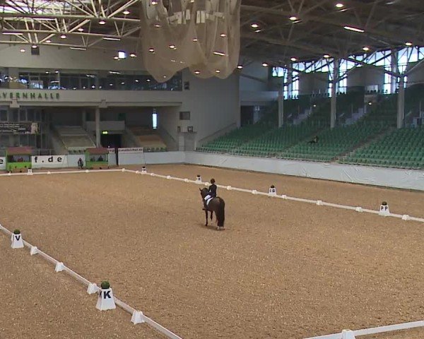 Reitturnier Kreuth/Opf. 2024