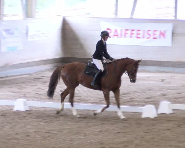 Reitturnier Urtenen-Schönbühl 2024