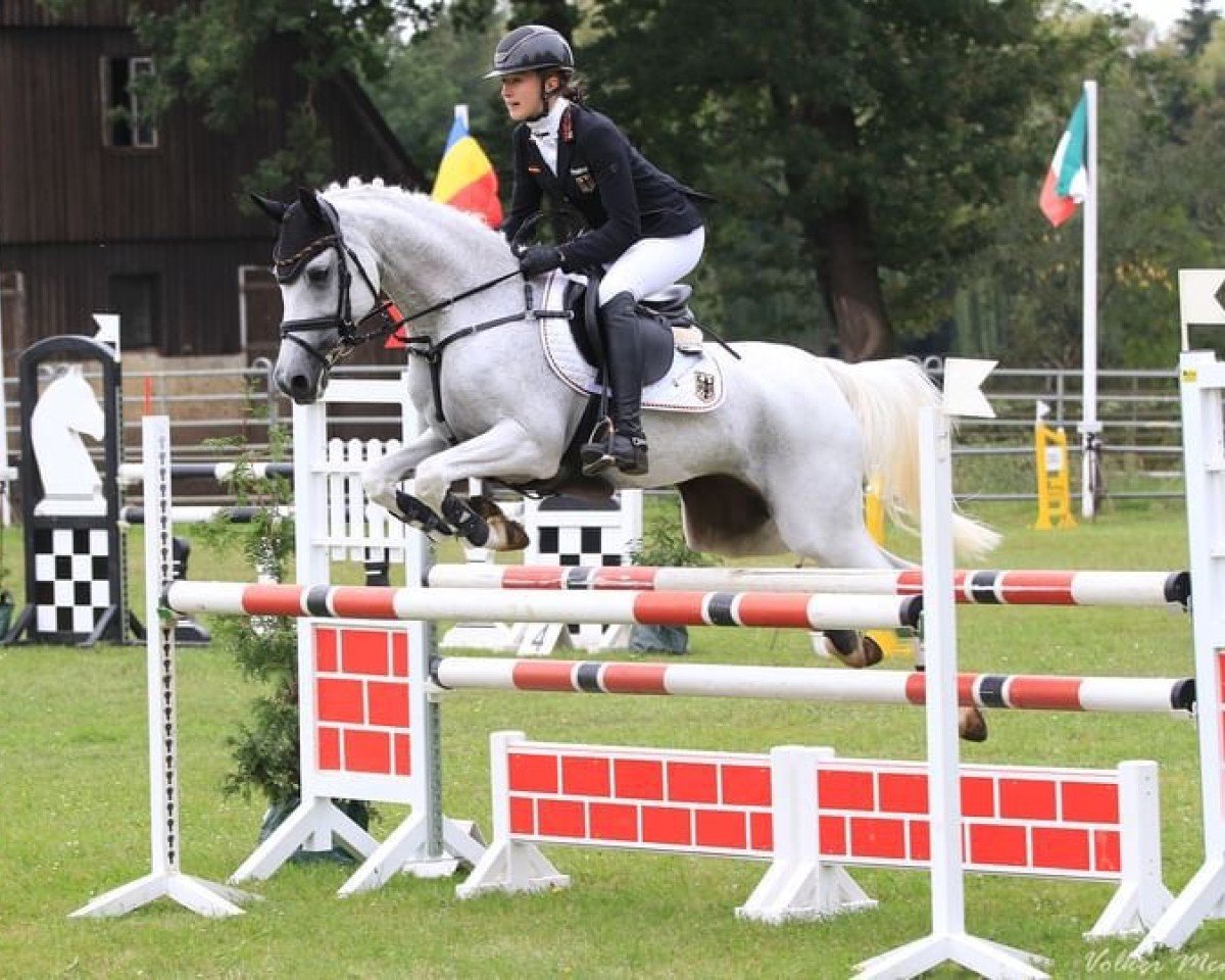broodmare Pearl 98 (German Riding Pony, 2006, from Potter)
