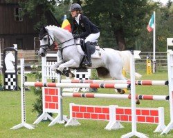 jumper Pearl 98 (Deutsches Reitpony, 2006, from Potter)