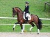 dressage horse Viviano 9 (Hanoverian, 2020, from Vitalis)