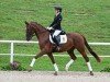 dressage horse Vermay (German Sport Horse, 2021, from Viva Gold OLD)