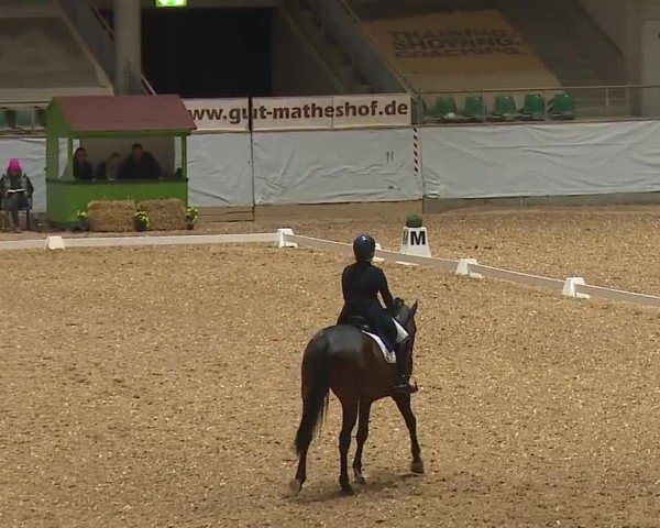 Reitturnier Kreuth/Opf. 2024