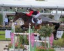 jumper Vienna 103 (Hanoverian, 2014, from Viscount 22)