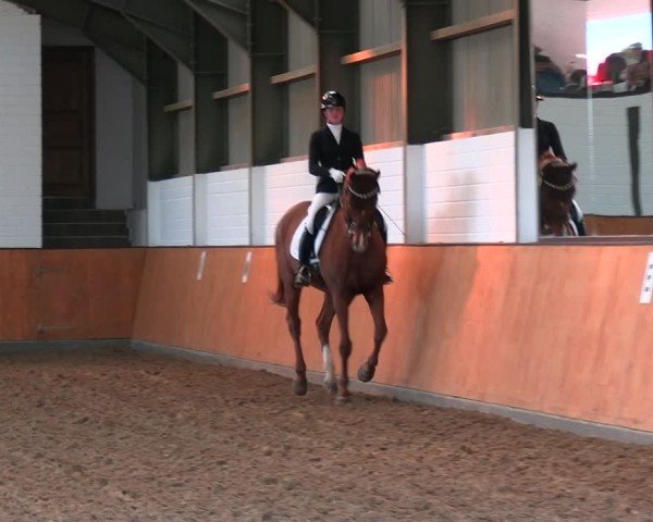 Reitturnier Frechen-Bachem 2024