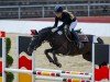 jumper Best Mate (German Riding Pony, 2014, from Nutrix)