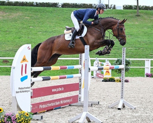 jumper Clarina RS (German Sport Horse, 2018, from Canturano I)