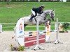 jumper La Traviata 60 (German Sport Horse, 2020, from Cellestial)