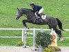 Springpferd Holla die Waldfee (Deutsches Sportpferd, 2020, von Hickstead White)