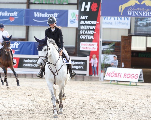 jumper Clinta Calida (Hanoverian, 2016, from Clinton's Heart)