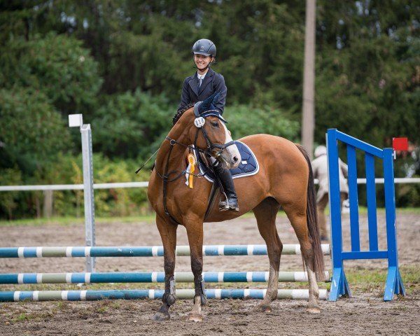 jumper Wanda 491 (German Sport Horse, 2017)